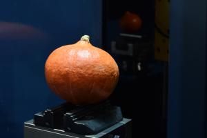 Pumpkin on machine